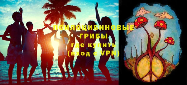 герыч Верхний Тагил