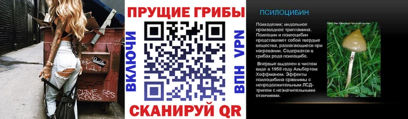 Псилоцибиновые грибы прущие грибы  купить   Рузаевка 
